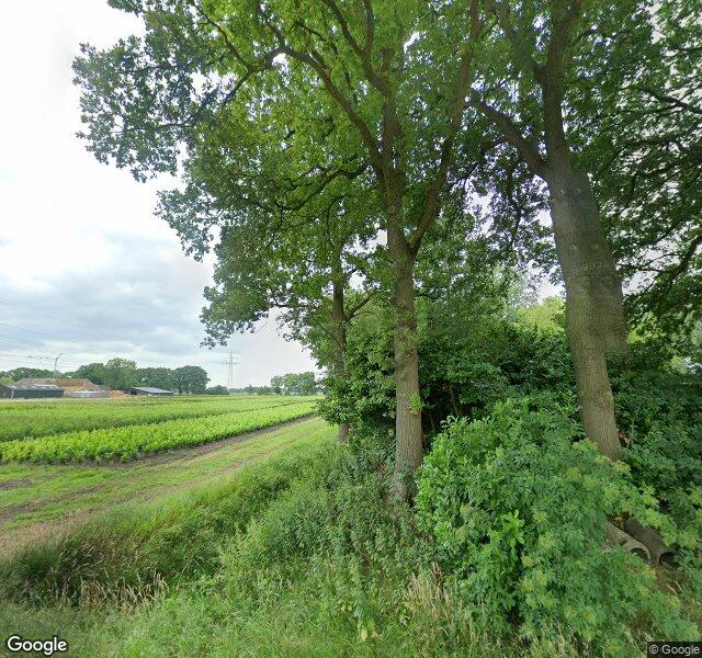 Gebr. Middelveld